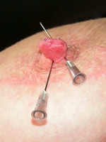 BDSM XXX
