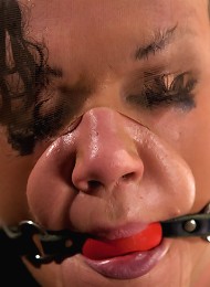 Big titted girl next door, severely bound, elbows together, made to cumSkull fucked and abused.